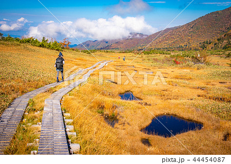 立山黒部　紅葉の弥陀ヶ原 44454087