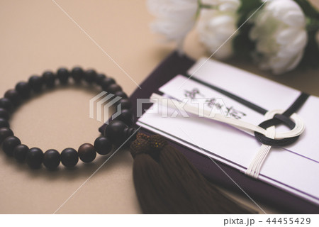 静物写真 44455429