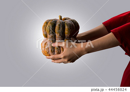 大きいカボチャ 44456024