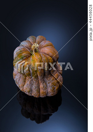 大きいカボチャ 大きいカボチャ 44456028