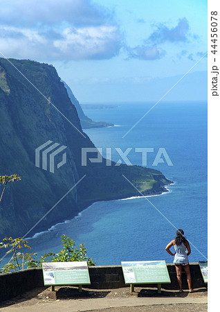 Waipio Valley Lookout,Big Island Hawaii Waipio Valley Lookout,Big Island Hawaii 44456078