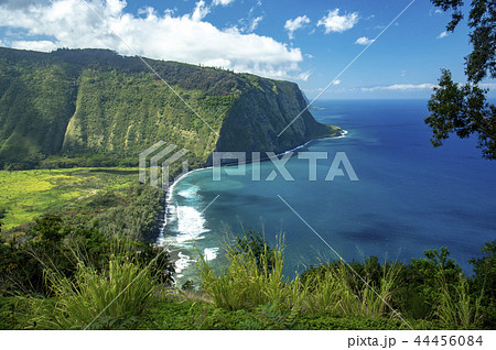 Waipio Valley Lookout,Big Island Hawaii 44456084
