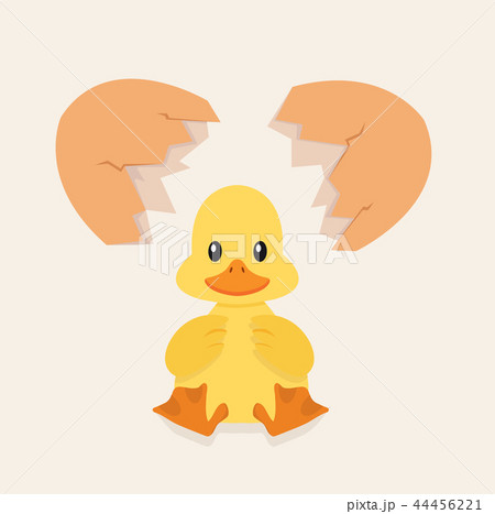 Broken Egg Shell Vector With Baby Duckのイラスト素材