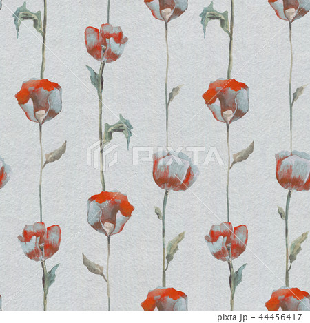 Poppies. Hand drawn Floral pattern 44456417