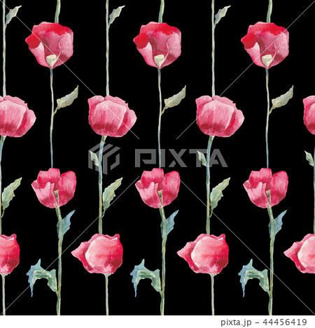 Poppies. Hand drawn Floral pattern 44456419