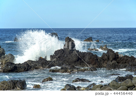 Laupahoehoe Beach Park,Big Island,Hawaii 44456440