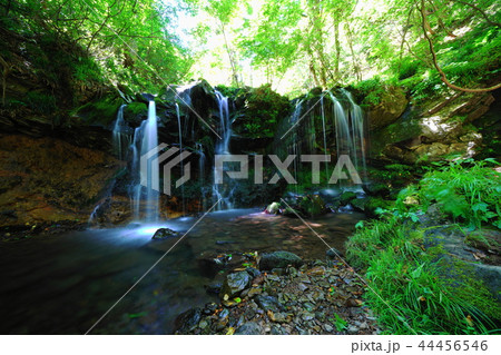 猿壺の滝804 44456546