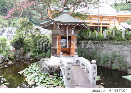 水の神・音楽の神（弁財天） 44457104