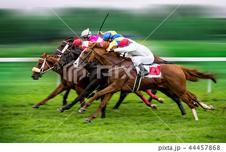 Race horses with jockeys on the home straight 44457868