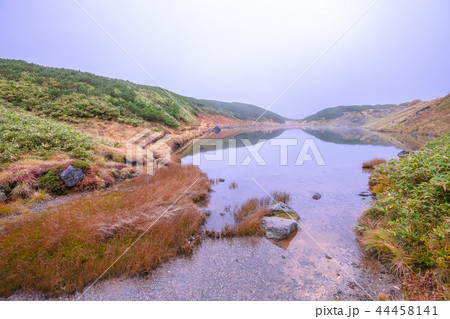 立山黒部アルペンルートのミドリガ池 44458141