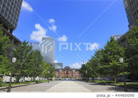行幸通り 東京駅 丸の内駅舎 44460090