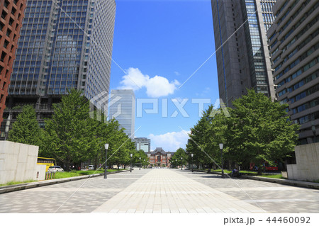 行幸通り 東京駅 丸の内駅舎 44460092
