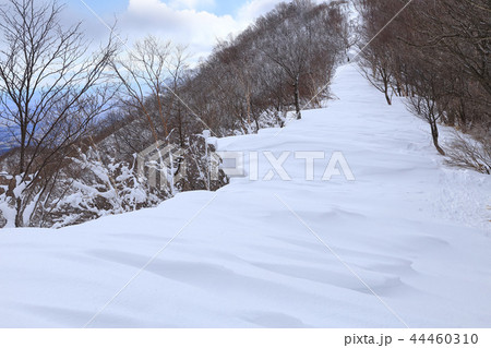 赤城山 長七郎山頂付近の登山道の雪庇 44460310