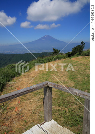 神奈川県南足柄市の矢倉岳山頂見晴台から見る夏の富士山 44460313