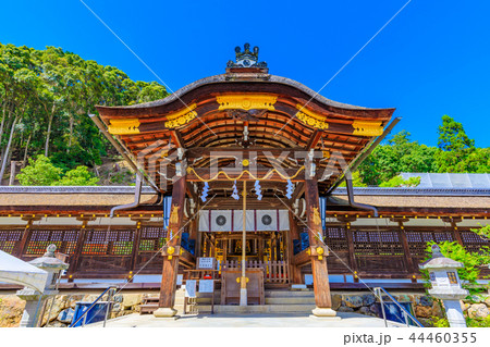 京都　松尾大社　本殿 44460355