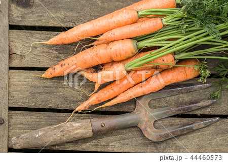 Bunch of carrots on old cutting board 44460573
