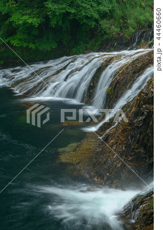 愛知県東栄町の蔦の渕 愛知県東栄町の蔦の渕 44460660