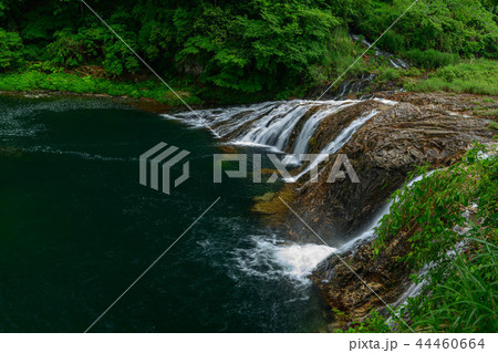 愛知県東栄町の蔦の渕 44460664