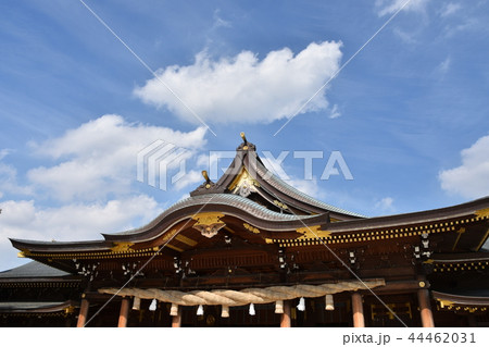 寒川神社 神奈川県寒川町 寒川神社 神奈川県寒川町 44462031