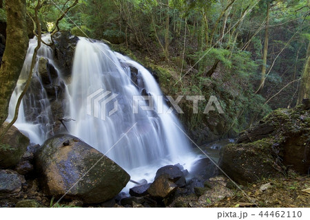鶏鳴八滝の鶏鳴の滝(滋賀県甲賀市) 鶏鳴八滝の鶏鳴の滝(滋賀県甲賀市) 44462110