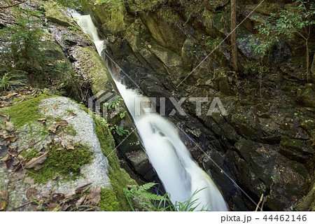 鶏鳴八滝の白蛇の滝（滋賀県甲賀市） 44462146