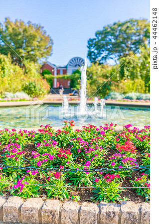 秋晴れの横浜 港の見える丘公園周辺の風景 44462148