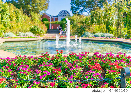 秋晴れの横浜 港の見える丘公園周辺の風景 44462149