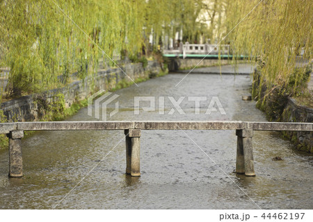 白川と行者橋 44462197