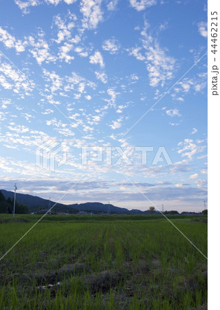 秋の夕暮れ時の日本の空のイメージ 秋の夕暮れ時の日本の空のイメージ 44462215