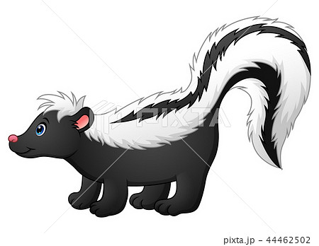 Vector illustration of Cute skunk cartoon - Stock Illustration [44462502] -  PIXTA