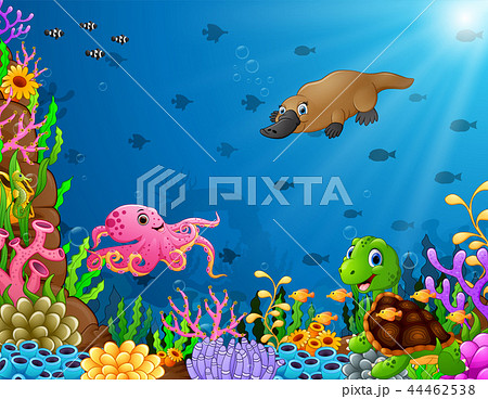 Cartoon tropical animal with beautiful underwater  44462538