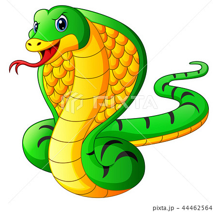 Vector Illustration Of Cobra Snake Cartoonのイラスト素材