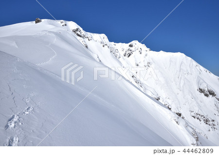 雪山 谷川岳山頂へと続く西黒尾根 雪山 谷川岳山頂へと続く西黒尾根 44462809