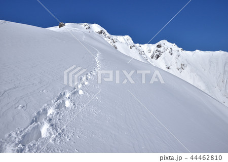 雪山 谷川岳山頂へと続く西黒尾根 雪山 谷川岳山頂へと続く西黒尾根 44462810