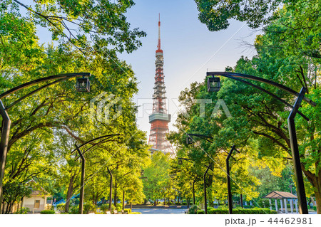 秋晴れの東京 芝公園周辺の風景 44462981