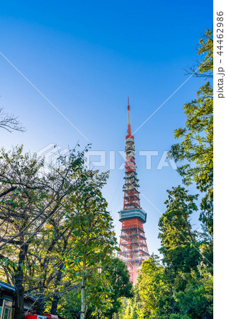 秋晴れの東京 芝公園周辺の風景 秋晴れの東京 芝公園周辺の風景 44462986