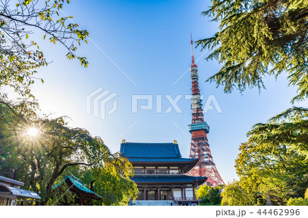 秋晴れの東京 芝公園周辺の風景 44462996