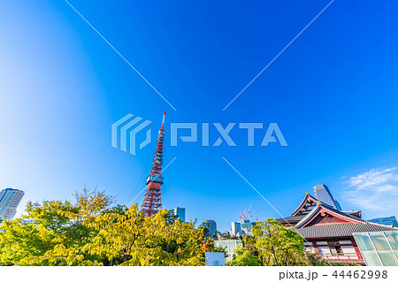 秋晴れの東京 芝公園周辺の風景 44462998