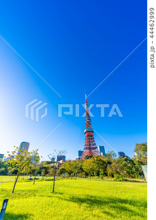 秋晴れの東京 芝公園周辺の風景 44462999