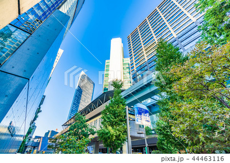 東京 汐留地区 都市風景 44463116