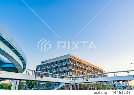 秋晴れの東京 豊洲新市場の都市風景 秋晴れの東京 豊洲新市場の都市風景 44463233