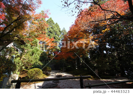 常照寺 44463323