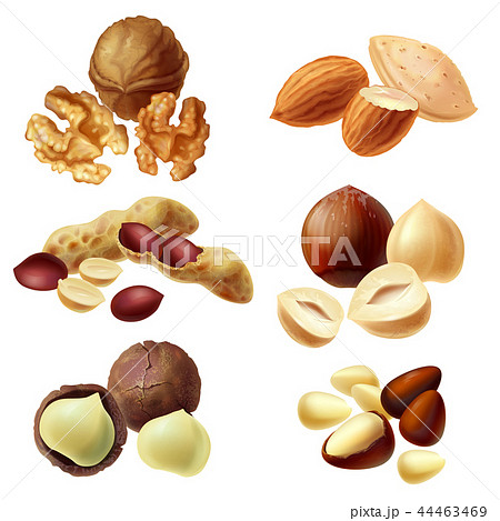 3d realistic set of various nuts 3d realistic set of various nuts 44463469
