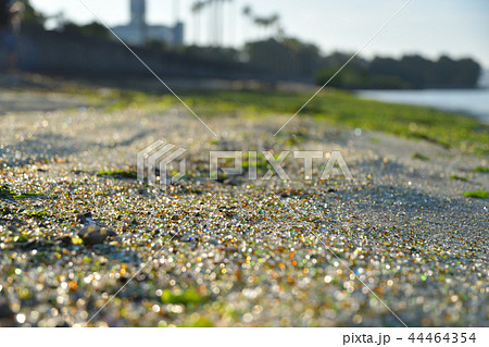大村湾のガラスの砂浜 44464354