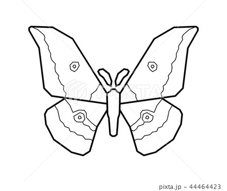 Japanese silk moth stylized vector icon on white 44464423