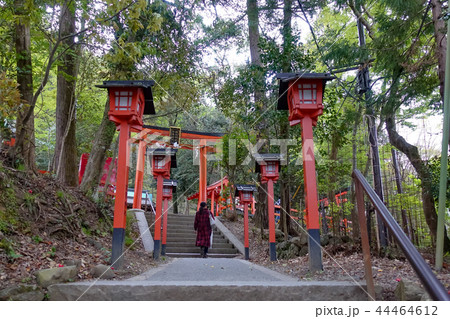 神社 神殿 社 44464612