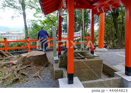 神社 神殿 社 44464623