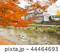 秋　紅葉　川　町　高山 44464693