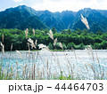 川　山　ススキ 44464703