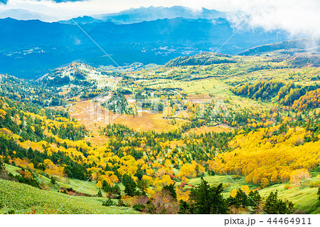 群馬県 渋峠から望む 紅葉した芳ヶ平湿原の写真素材